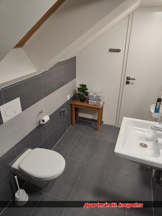 Apartmany Na Ceste Desná Extérieur photo